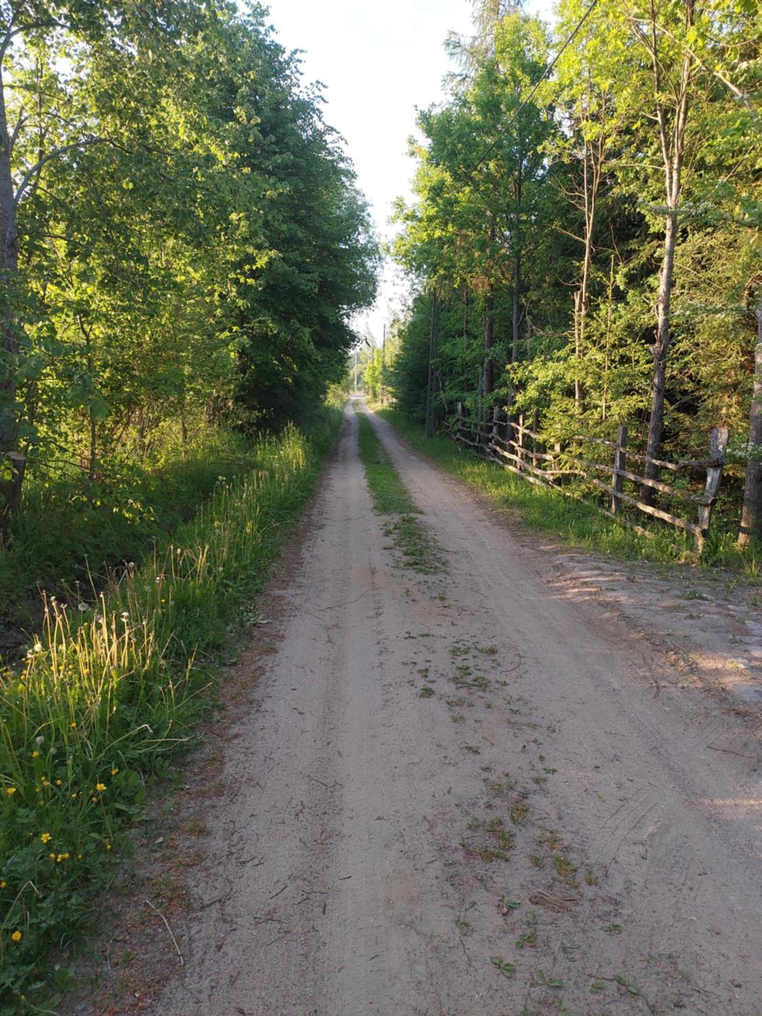Domek Gajowy Białowieża Exterior foto